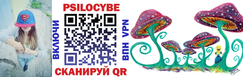 закладка  Чухлома  Галлюциногенные грибы Cubensis 
